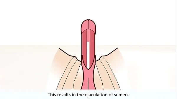 Oglądaj The male orgasm explained najlepsze filmy