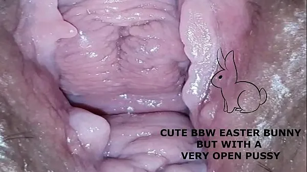 Watch Cute bbw bunny, but with a very open pussy top Movies