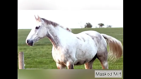 Bekijk Horny Milf takes giant horse cock dildo compilation | Masked Milf topfilms